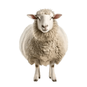 Animaux de la ferme